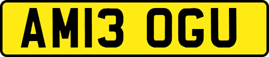 AM13OGU