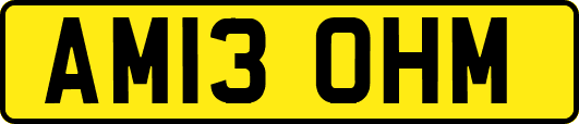 AM13OHM