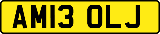 AM13OLJ