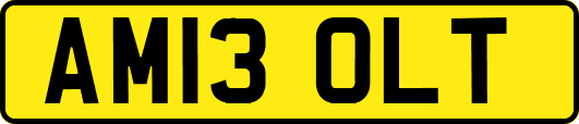 AM13OLT