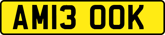 AM13OOK