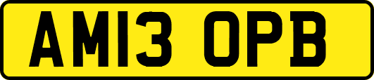 AM13OPB