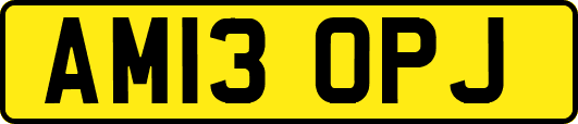 AM13OPJ