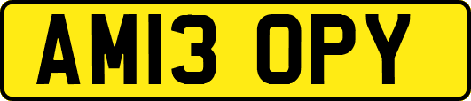 AM13OPY