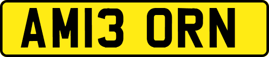 AM13ORN
