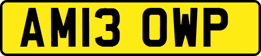 AM13OWP