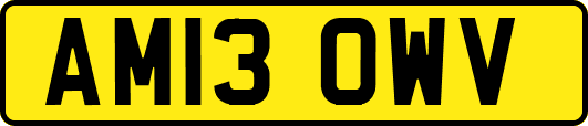 AM13OWV
