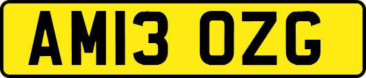 AM13OZG