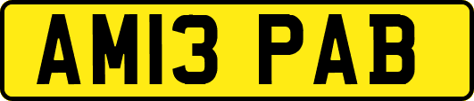 AM13PAB