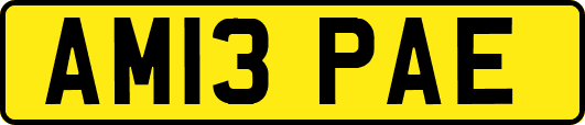 AM13PAE