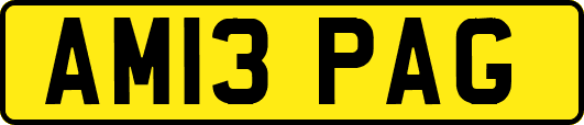 AM13PAG