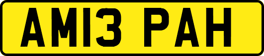 AM13PAH