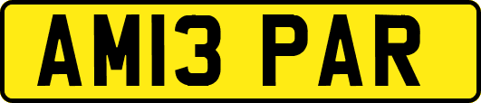 AM13PAR