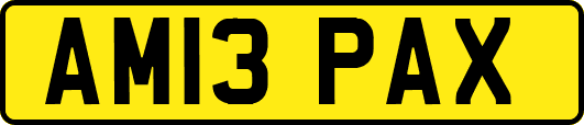 AM13PAX