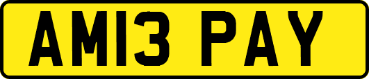 AM13PAY