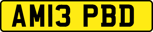 AM13PBD