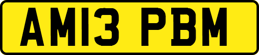 AM13PBM