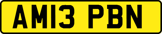 AM13PBN