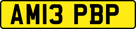 AM13PBP