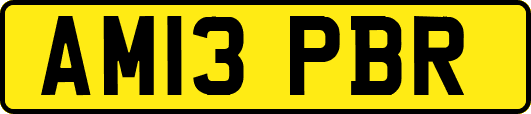 AM13PBR