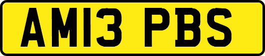 AM13PBS