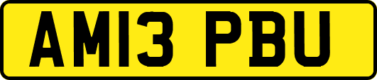 AM13PBU