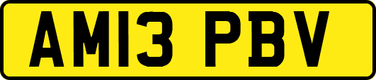 AM13PBV