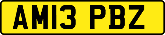AM13PBZ