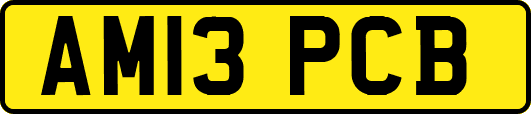 AM13PCB
