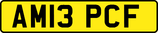AM13PCF