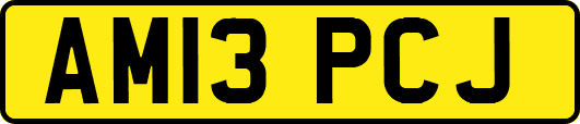 AM13PCJ