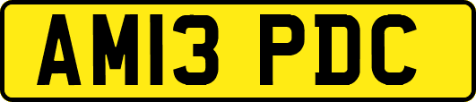 AM13PDC