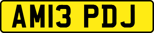AM13PDJ