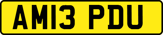 AM13PDU
