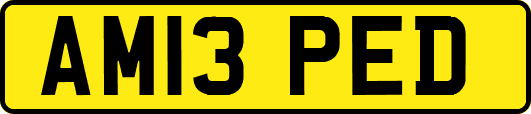 AM13PED