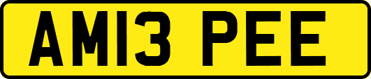 AM13PEE