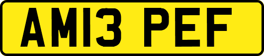 AM13PEF