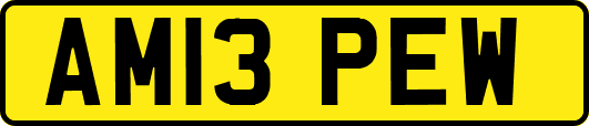 AM13PEW