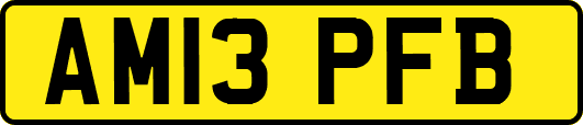 AM13PFB