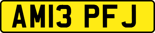 AM13PFJ