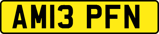 AM13PFN