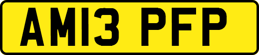 AM13PFP