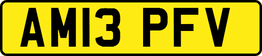 AM13PFV