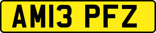 AM13PFZ