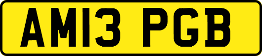 AM13PGB