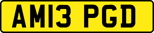 AM13PGD
