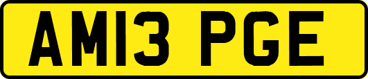 AM13PGE