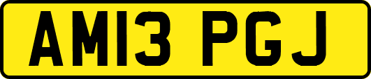 AM13PGJ
