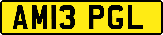 AM13PGL