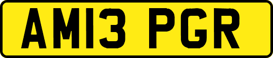 AM13PGR